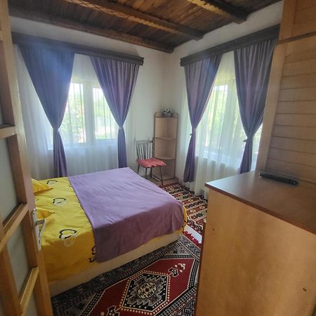 Casa Roza Διαμέρισμα Breaza  Εξωτερικό φωτογραφία