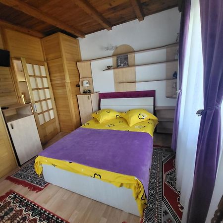 Casa Roza Διαμέρισμα Breaza  Εξωτερικό φωτογραφία
