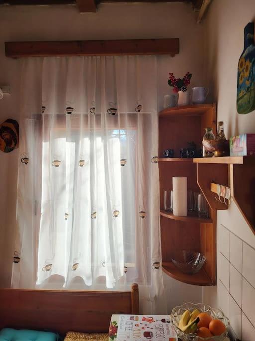 Casa Roza Διαμέρισμα Breaza  Εξωτερικό φωτογραφία