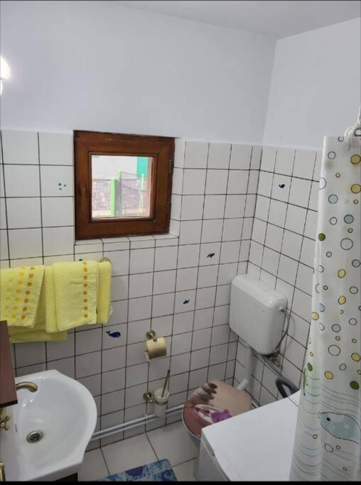 Casa Roza Διαμέρισμα Breaza  Εξωτερικό φωτογραφία